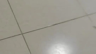 二零二三七月十七号_猫贪余温2
