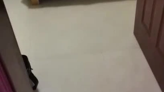 漂亮的女同性恋沉迷于粗暴的性爱